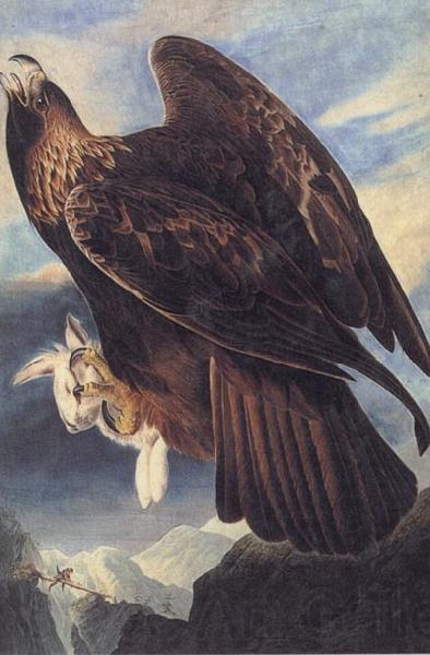 John James Audubon Golden Eagle Norge oil painting art